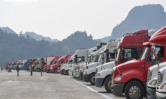 Bộ Công Thương 'bắt tay' Bộ Nông nghiệp tìm thị trường xuất khẩu mới